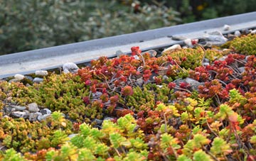 the cost of Torquhan green roof installation